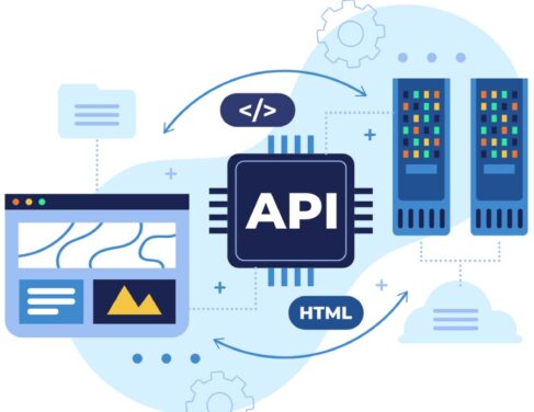 WordPress API